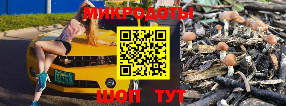 Галлюциногенные грибы ЛСД  Вход с VPN  Алексин  Галлюциногенные грибы мухоморы 