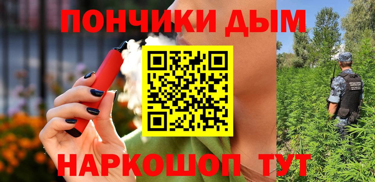 Конопля гибрид Алексин